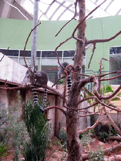 Biodome 024.JPG